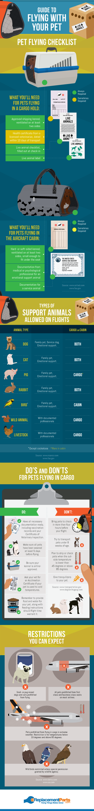 Guide to Flying with Your Pet