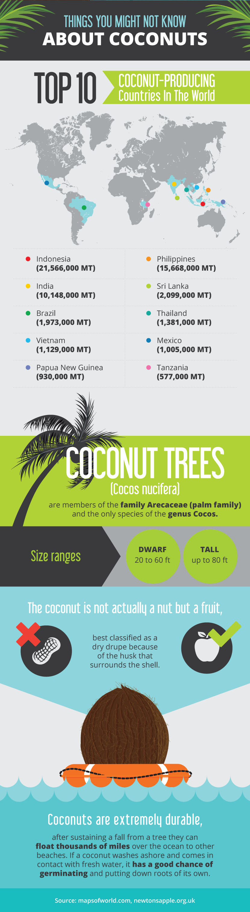 Facts About Coconuts - Unique Ways to Incorporate Coconuts Into Your Life