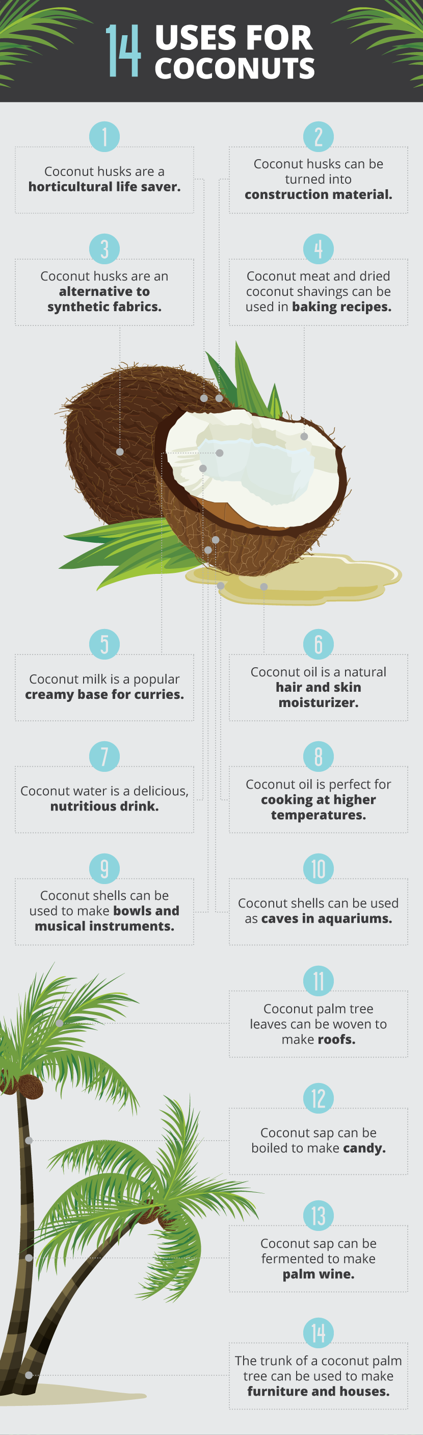 Uses For Coconuts - Unique Ways to Incorporate Coconuts Into Your Life