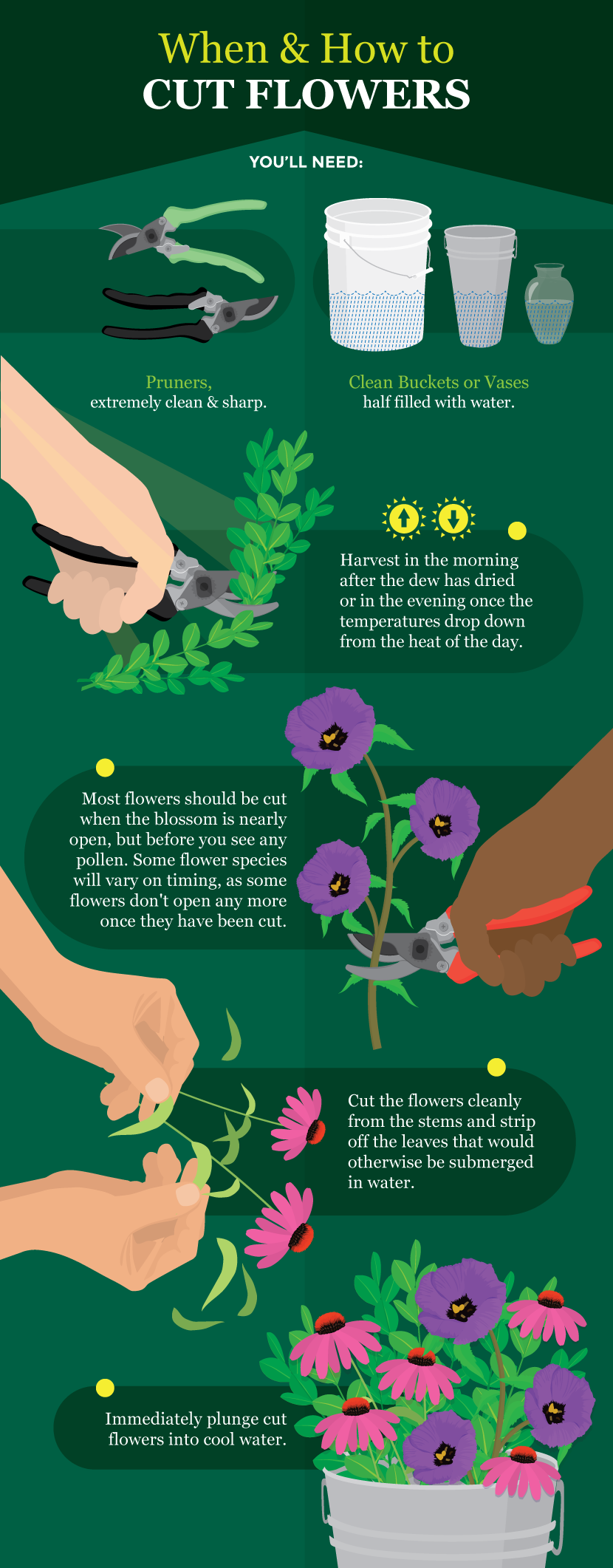 When and How to Cut Flowers - A Guide to Growing Your Own Cutting Flowers