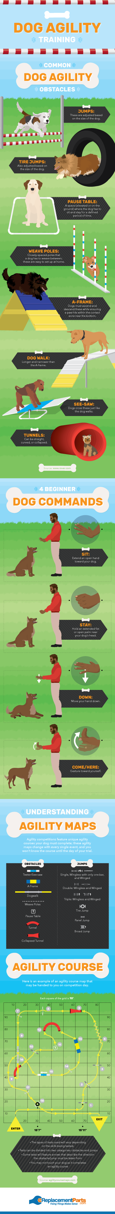 Try Agility Training For Your Dog