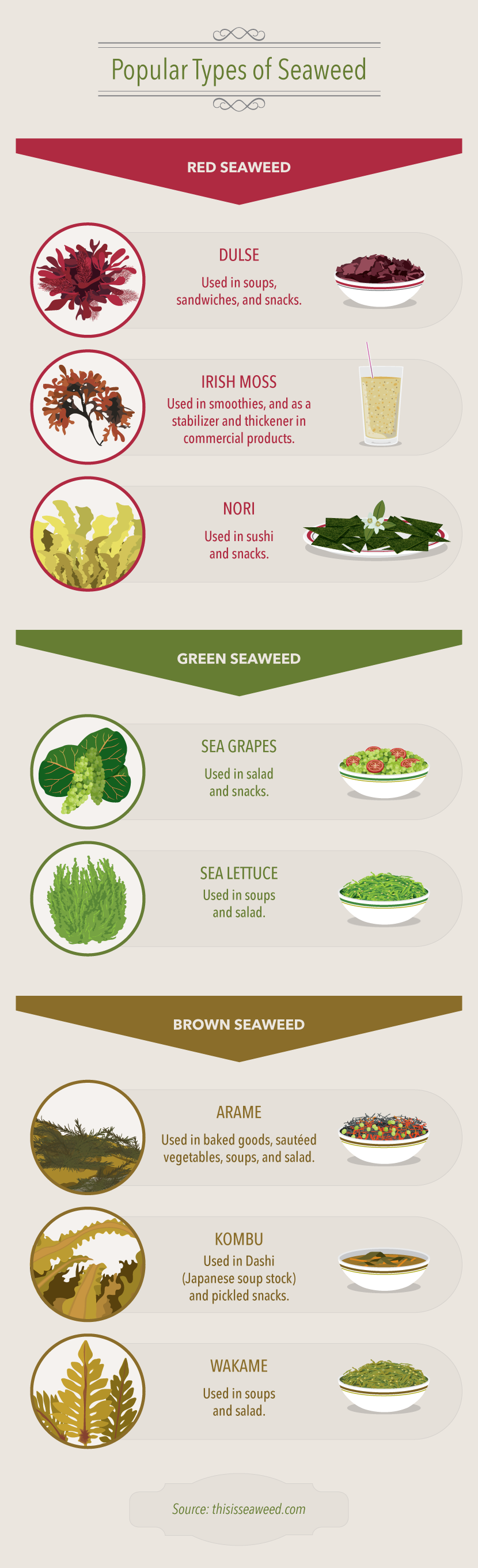 Popular Seaweed Types - A Guide to Eating Seaweed