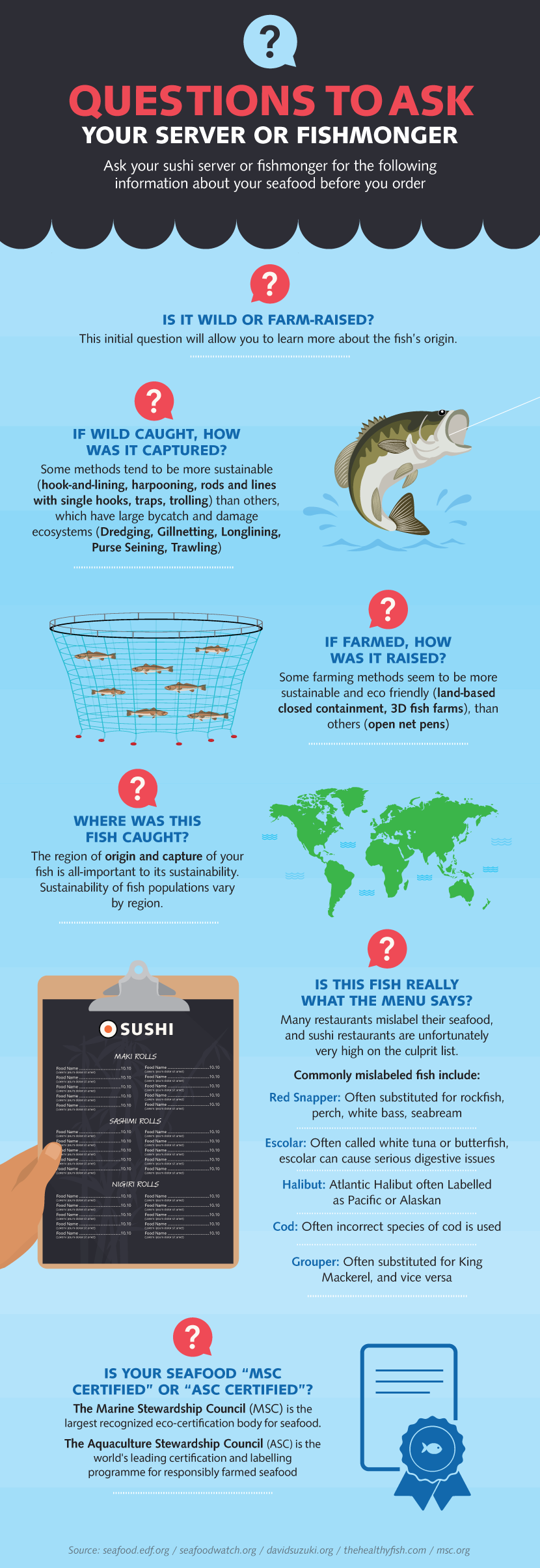Questions to Ask Your Sushi Restaurant or Fishmonger - Sustainable Sushi