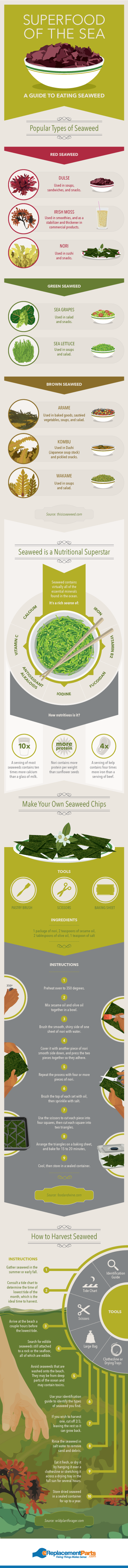 Seaweed the Superfood
