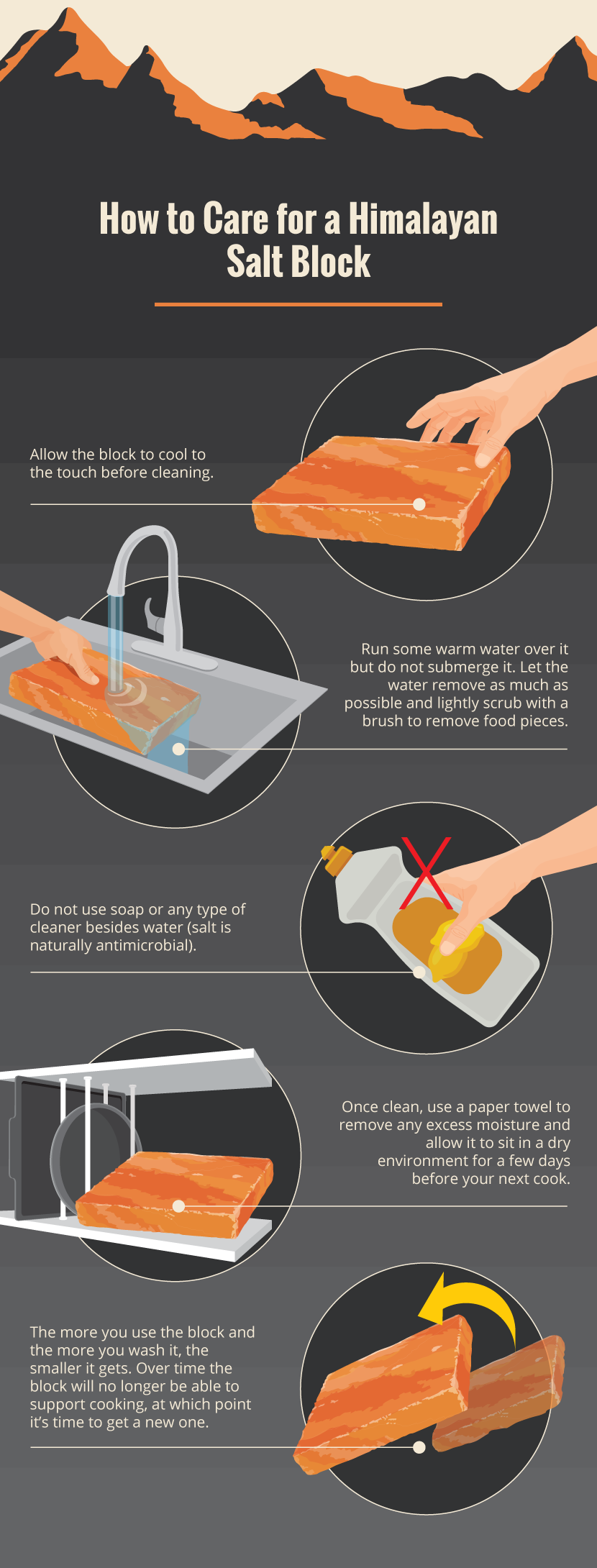 Caring For a Himalayan Salt Block - Grilling on a Himalayan Salt Block