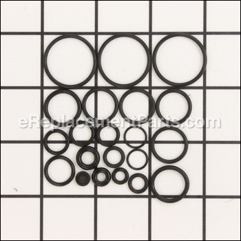 Kit, O- Ring - 317843GS:Briggs and Stratton