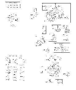 Camshaft/crankshaft/cylinder/engine sump Diagram and Parts List for A21A42-96046005400  Ariens Lawn Tractor