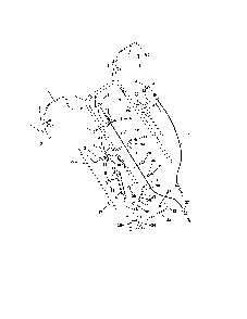 Part Location Diagram of 01123900 Ariens Speed Control Bell Crank