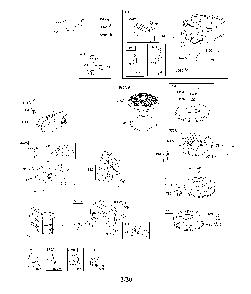 Part Location Diagram of 591759 Briggs and Stratton Flywheel