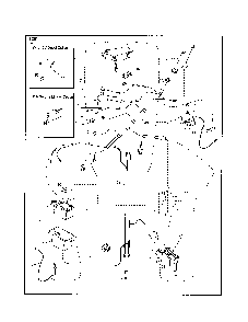 Part Location Diagram of 17060512 Ariens Lawn tractor screw