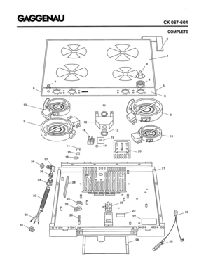 01 - COMPLETE Diagram and Parts List for CK067-604  Bosch Range