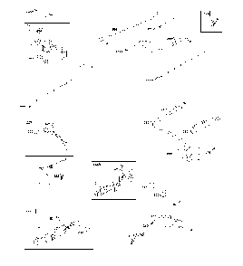 Part Location Diagram of 597379 Briggs and Stratton Spring, Governor