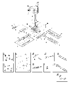 Pump (80011010) Diagram and Parts List for CMXGWAS021023  Craftsman Pressure Washer