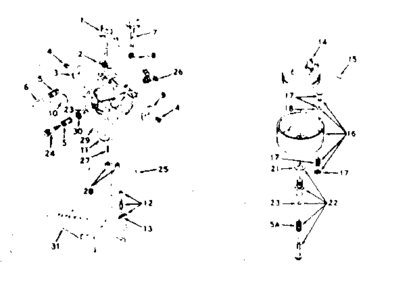 Carburetor Diagram and Parts List for 143226142  Craftsman Engine