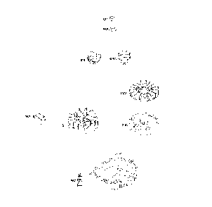 Flywheel Diagram and Parts List for CMXGWAS021025  Craftsman Pressure Washer