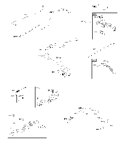 Armature/controls/electrical system/spark plug Diagram and Parts List for CMXGMAM7815145  Craftsman Lawn Mower
