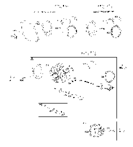 Cylinder head/gasket sets Diagram and Parts List for CMXGGAS030790  Craftsman Generator