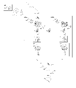 Carburetor Diagram and Parts List for CMXGWAS021025  Craftsman Pressure Washer
