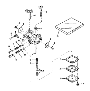 Carburetor Diagram and Parts List for 14310250  Craftsman Engine
