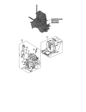 Shortblock Diagram and Parts List for 316731974  Craftsman Trimmer