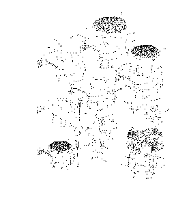 Part Location Diagram of 3202734-S Kohler Kit, Blower Housing