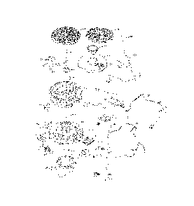 Part Location Diagram of 2513213-S Kohler Plug: Spark