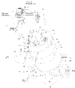 Exploded Diagram A Diagram and Parts List for PRFB5520VP-WK Type 0 DeVilbiss Compressor