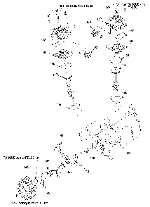 Exploded Diagram A Diagram and Parts List for 4UP73 Type 0 DeVilbiss Compressor