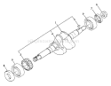 Page D Diagram and Parts List for TP-2000  Echo Water Pump