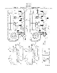Induction Diagram and Parts List for 79095103415  Kenmore Range
