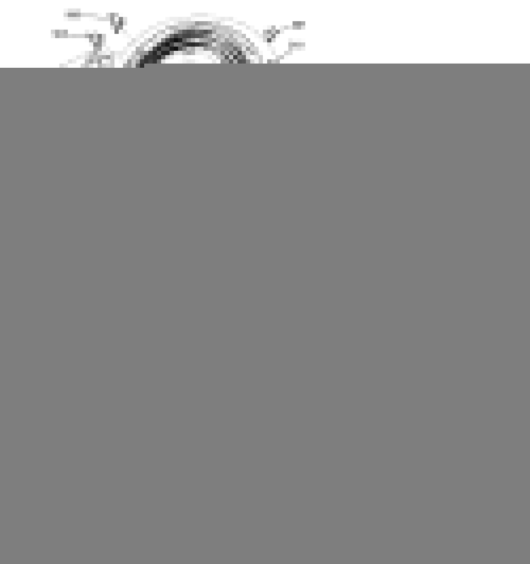 Drum Diagram and Parts List for HTDP120ED6WW  Hotpoint Dryer