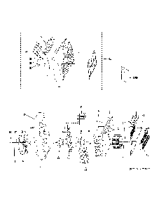 Grille And Chassis Parts Diagram and Parts List for AJEQ08ACFL2  General Electric Air Conditioner
