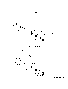 Monogram Customization Diagram and Parts List for ZGP366NT1SS  General Electric Range