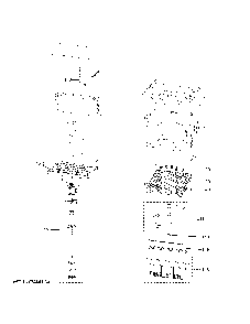 Part Location Diagram of WR02X38614 GE SPRAY PUMP