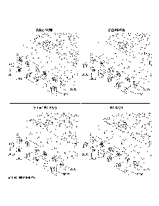 Cafe Customization Diagram and Parts List for CGU366P4T1W2  General Electric Cooktop
