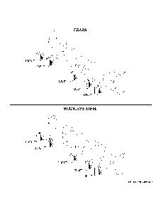 Monogram Customization Diagram and Parts List for ZDP304NT1SS  General Electric Range