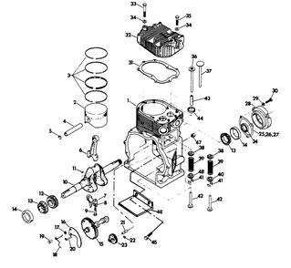 Engine Diagram and Parts List for 6273-3  Generac Generator