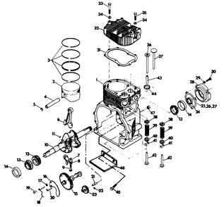Engine Diagram and Parts List for 6318-2  Generac Generator