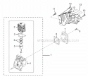 Part Location Diagram of 986119001 Homelite 30Cc Piston Assembly