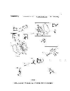Cylinder/crankshaft/crankcase Diagram and Parts List for 96083000605  Husqvarna Tiller