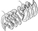 Auger Housing Impeller Diagram and Parts List for 1650EXL 96193008700 - 2012-07 Husqvarna Snow Blower