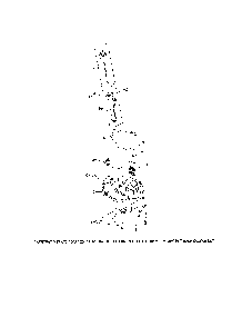 Lubrication Diagram and Parts List for HU675AWD-96145001500  Husqvarna Lawn Mower