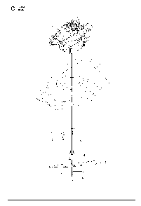 Engine Diagram and Parts List for L321AH-96794980100  Husqvarna Lawn Mower