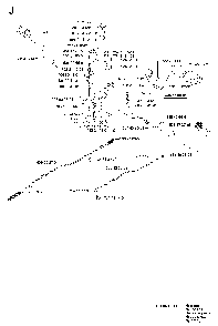 Pedals Diagram and Parts List for RIDER13BIOCLIP (953520901)(2003-11) Husqvarna Lawn Tractor
