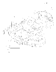 Decals Diagram and Parts List for MZ28ZTBF966582501-00 2010-02 Husqvarna Lawn Tractor