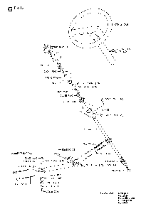 Steering Diagram and Parts List for RIDERPRO15 (953535001)(2004-01) Husqvarna Lawn Tractor