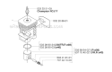 Cylinder Piston Diagram and Parts List for 235FR 2009-05 Husqvarna Brush Cutter