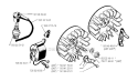 Ignition System Diagram and Parts List for 245R 1990-01 Husqvarna Brush Cutter
