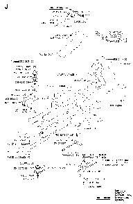 Chassis / Frame Diagram and Parts List for RIDERPRO18 (953521901)(2004-01) Husqvarna Lawn Tractor