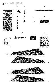 Decals Diagram and Parts List for RIDER15V2SAWD (965200901)(2009-04) Husqvarna Lawn Tractor